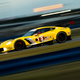 Illustration for article titled Here Is Your 2019 24 Hours Of Daytona Mega Gallery